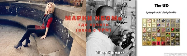 ГАЛЛЮЦИНОГЕННЫЕ ГРИБЫ Новозыбков