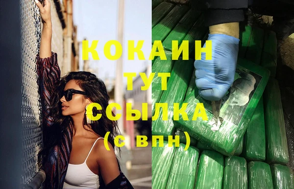 ГАЛЛЮЦИНОГЕННЫЕ ГРИБЫ Новозыбков