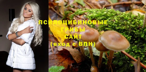ГАЛЛЮЦИНОГЕННЫЕ ГРИБЫ Новозыбков