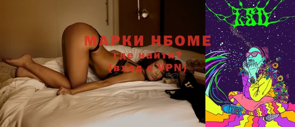 ГАЛЛЮЦИНОГЕННЫЕ ГРИБЫ Новозыбков